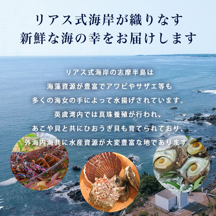 ＜おうちで＞海鮮グルメセット3種22品（4～5人前）ひおうぎ貝 さざえ 伊勢海老 三重県 伊勢志摩産 産地直送 活ひおうぎ貝 活さざえ 冷凍伊勢海老　伊勢志摩直送  おうちパーティー用 お中元 ギフト