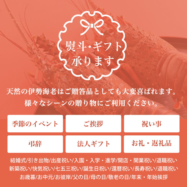 伊勢海老 三重県 伊勢志摩産《約1㎏ 2尾~5尾※尾数選択可》 活き 伊勢エビ 産地直送 天然 伊勢えび 三重県産 伊勢志摩直送 お歳暮 ギフト