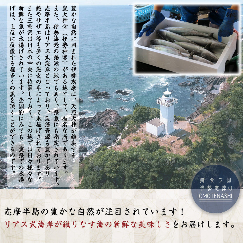 季節のおまかせ 本日の水揚げ魚セット 15匹~20匹 季節の魚 伊勢志摩産 産地直送 三重県産 伊勢志摩直送 《約5種類~8種類》 お楽しみ BBQ バーべキュー お歳暮 ギフト